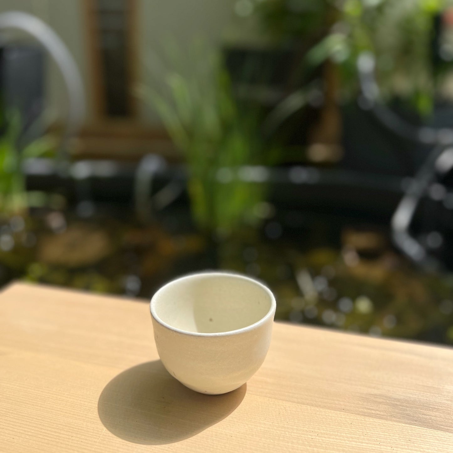 Traditional Japanese Teacups